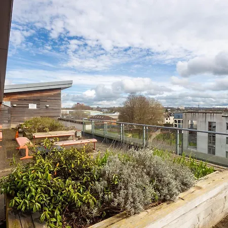 Stylish 2br Flat - Free Gym - Contractors