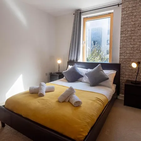 Stylish 2br Flat - Free Gym - Contractors